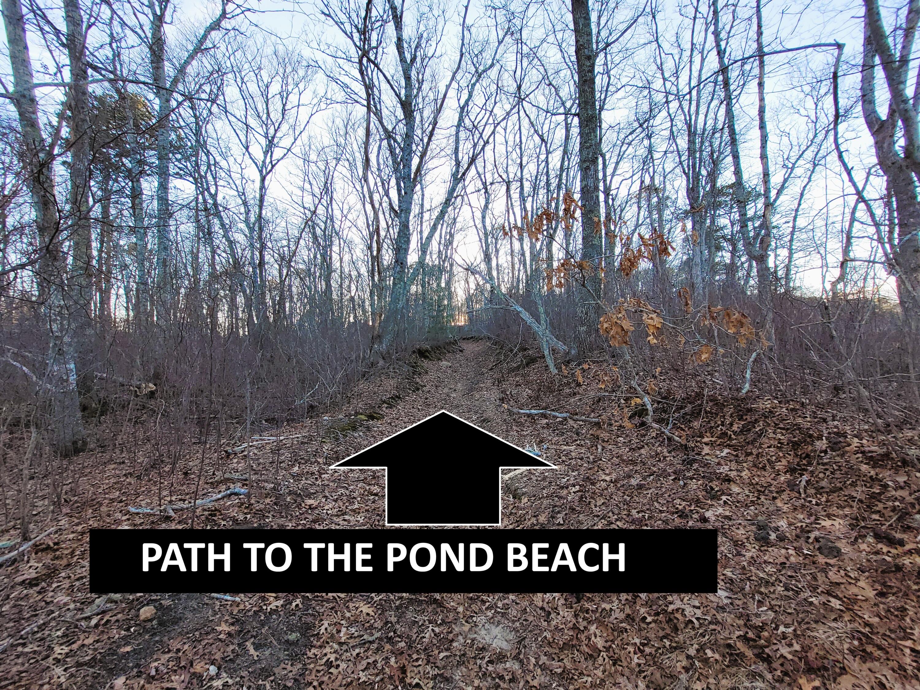 14 South Yarmouth Road Dennis, MA 02638 - Photo 43 of 46 PATH TO POND