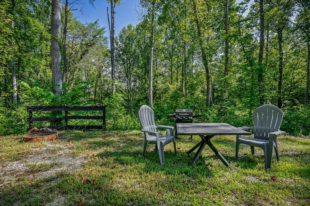 3249 Moodyville Road Byrdstown, TN 38549 - Photo 24 of 27