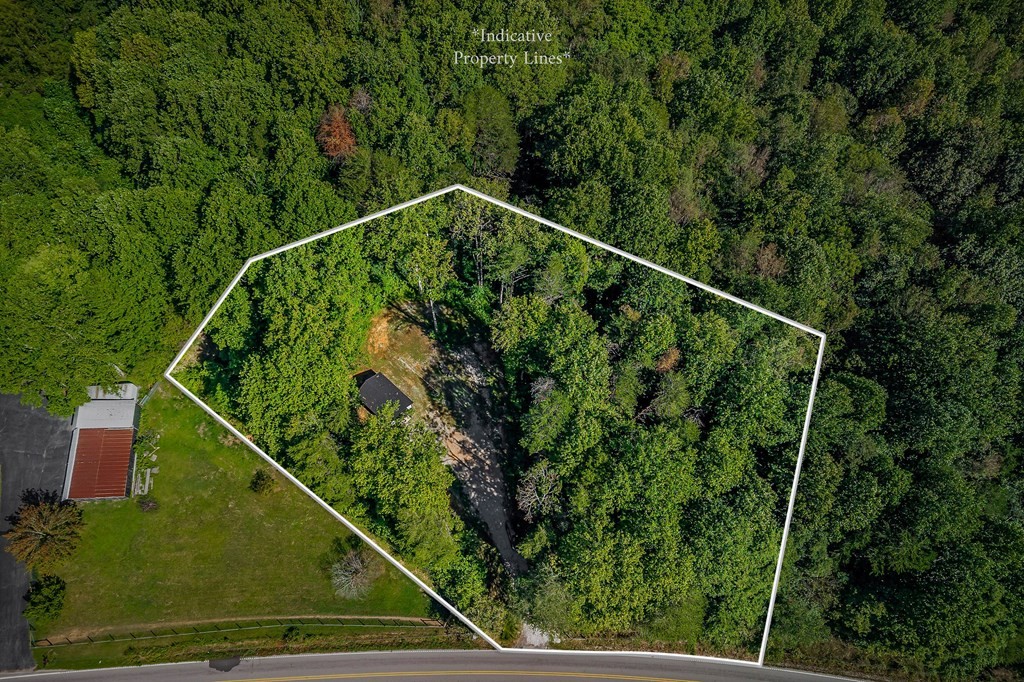 3249 Moodyville Road Byrdstown, TN 38549 - Photo 5 of 27