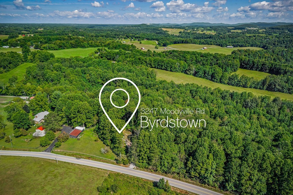3249 Moodyville Road Byrdstown, TN 38549 - Photo 7 of 27