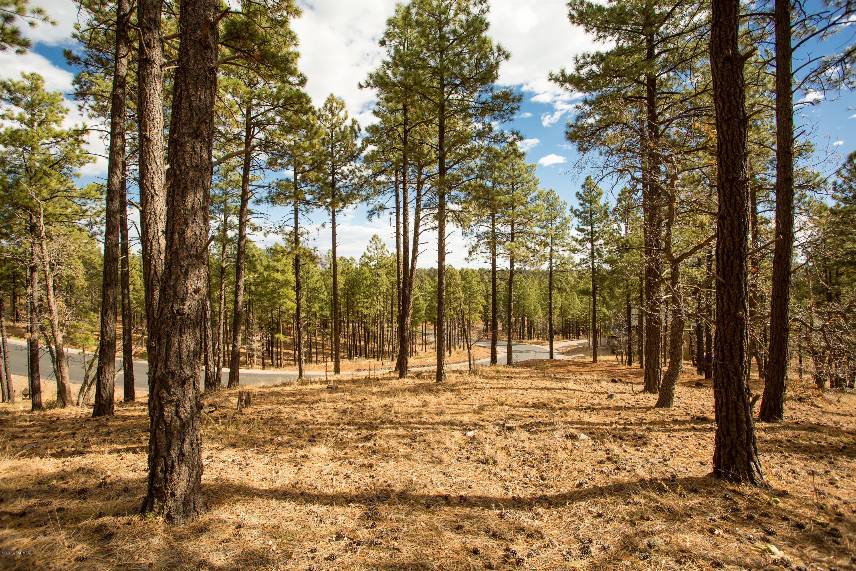 4705 South Flagstaff Ranch Road Flagstaff, AZ 86005 - Photo 3 of 19 A19B0532-17