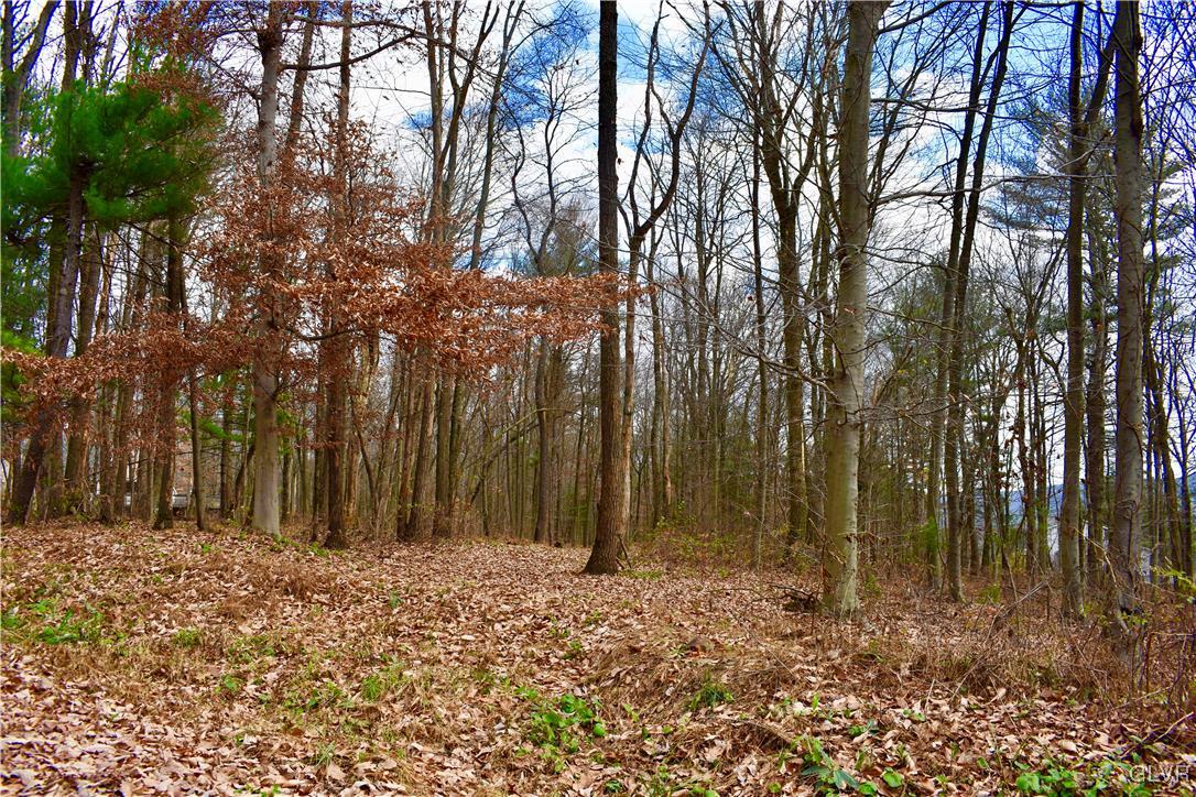 0 Rabbit Run Andreas, PA 18211 - Photo 2 of 4