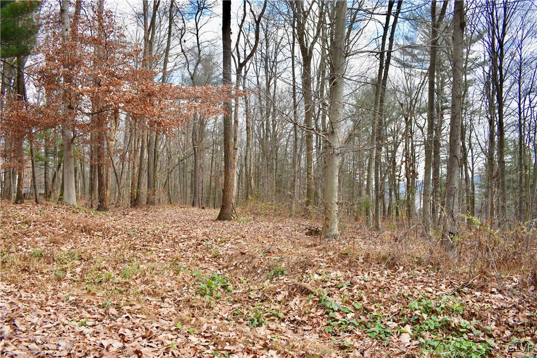 0 Rabbit Run Andreas, PA 18211 - Photo 3 of 4
