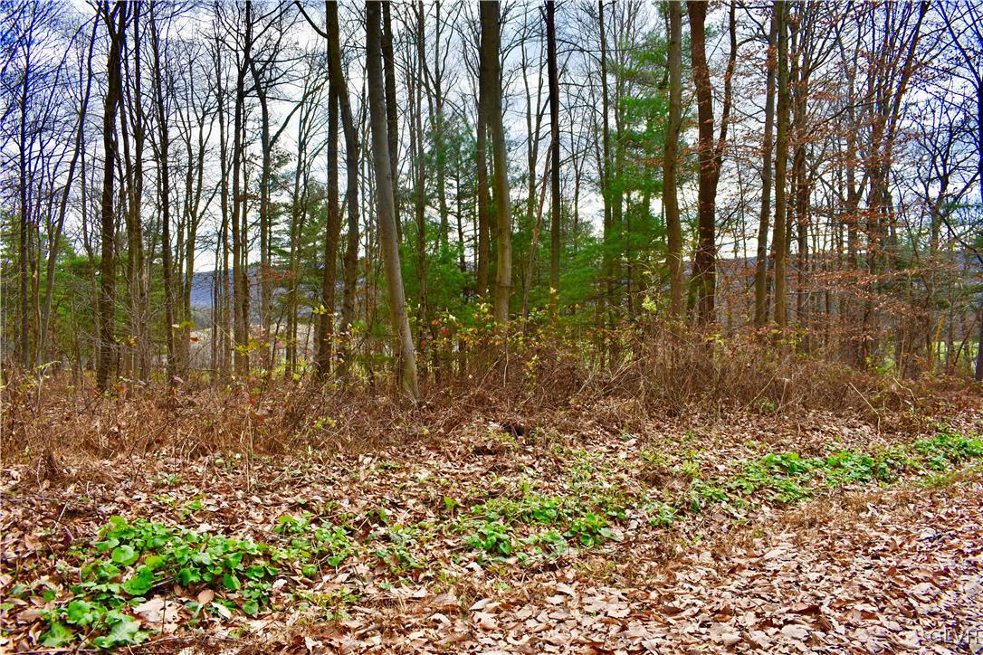0 Rabbit Run Andreas, PA 18211 - Photo 4 of 4