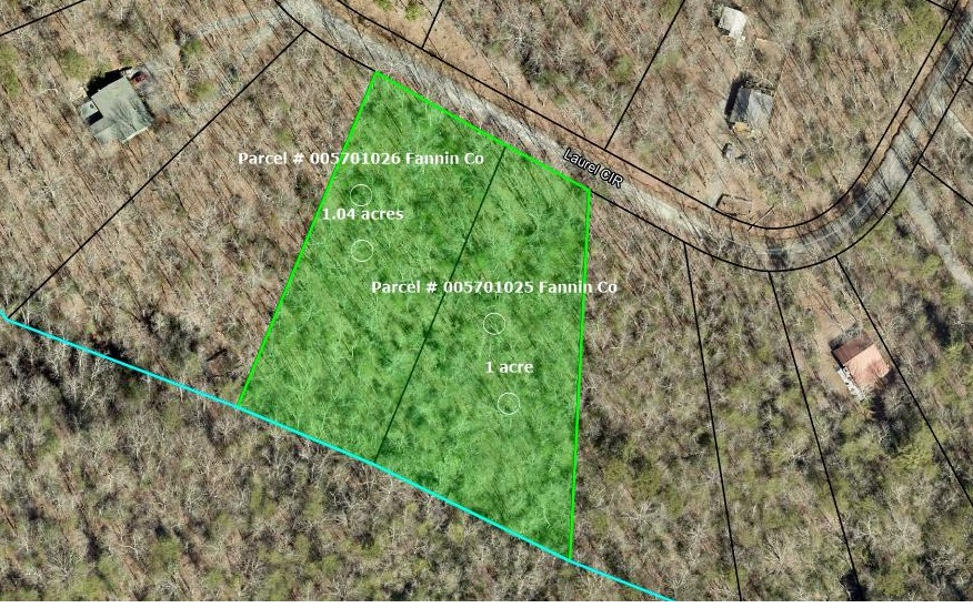 Laurel Circle Blue Ridge, GA 30513 - Photo 1 of 3 Main View
