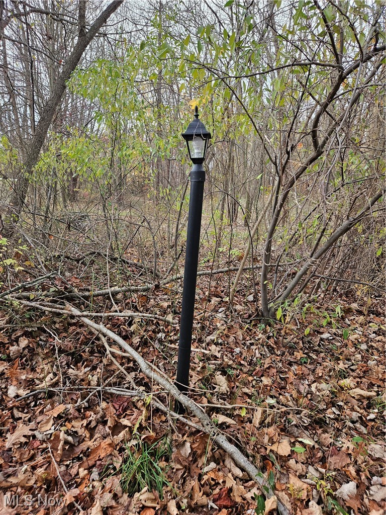 2866 McMackin Road Madison, OH 44057 - Photo 13 of 17 View of local wilderness