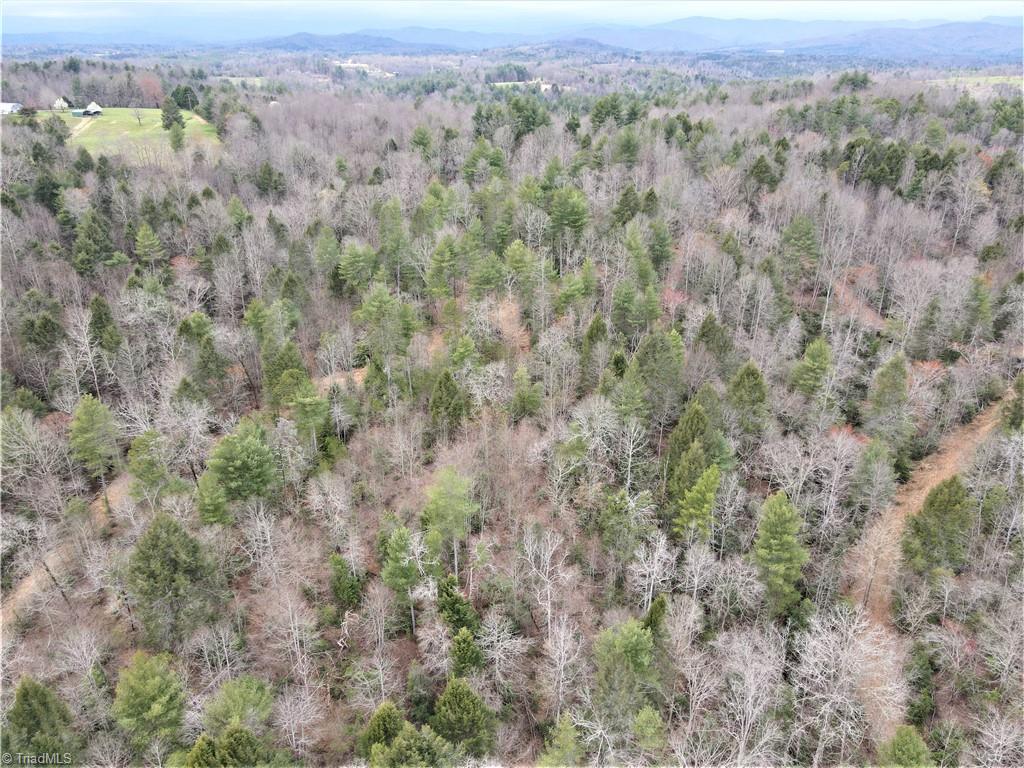 0 Roope Ridge Road Hays, NC 28635 - Photo 7 of 12 Gallery Image 7