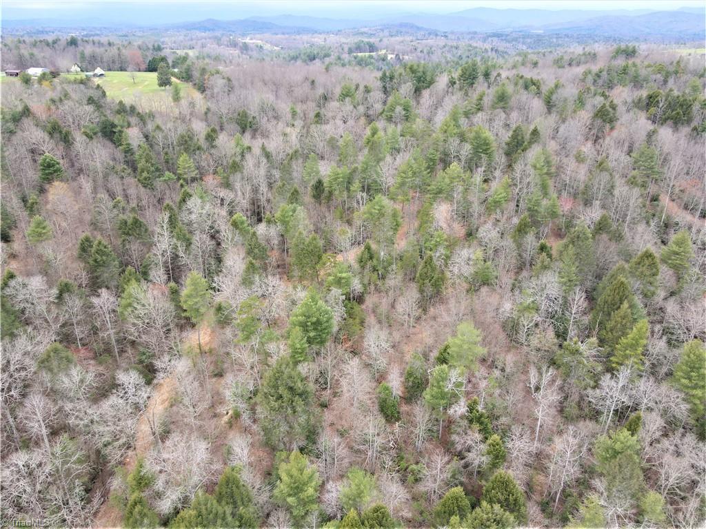0 Roope Ridge Road Hays, NC 28635 - Photo 8 of 12 Gallery Image 8