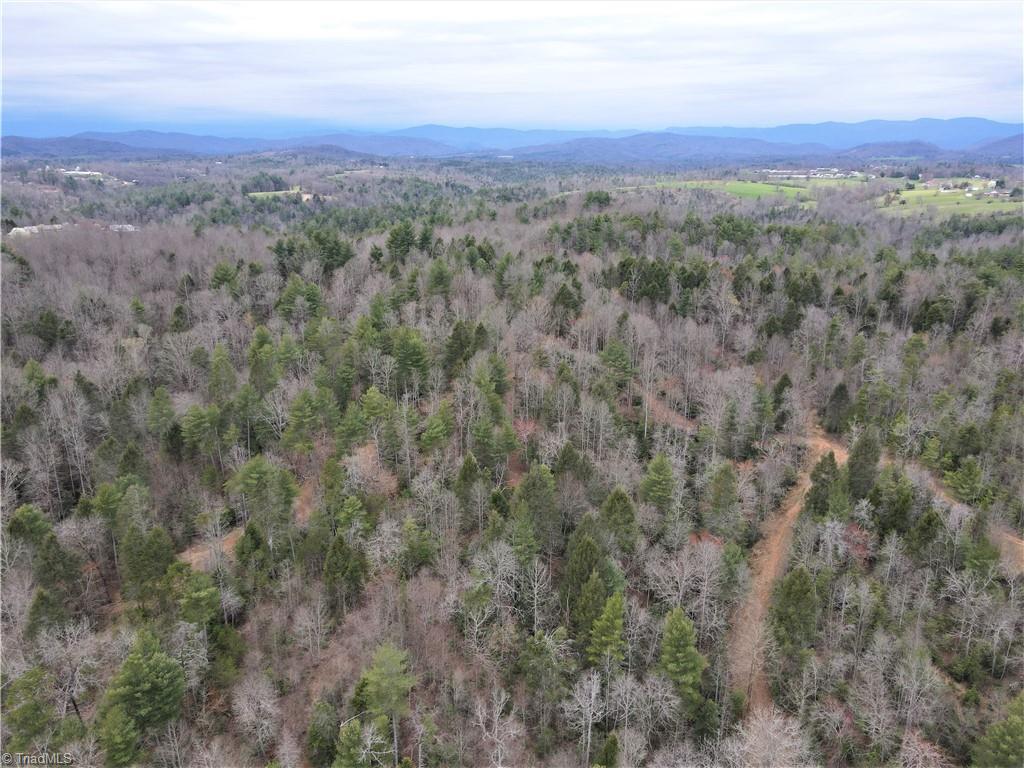 0 Roope Ridge Road Hays, NC 28635 - Photo 10 of 12 Gallery Image 10
