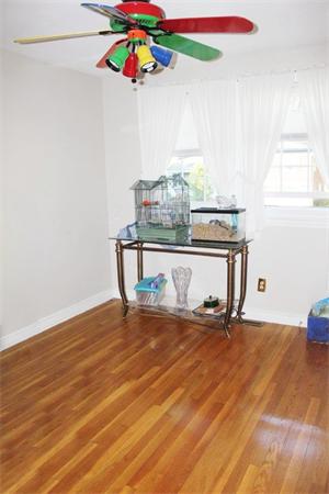 194 Robert Road Dedham, MA 02026 - Photo 20 of 25 Gallery Image 20