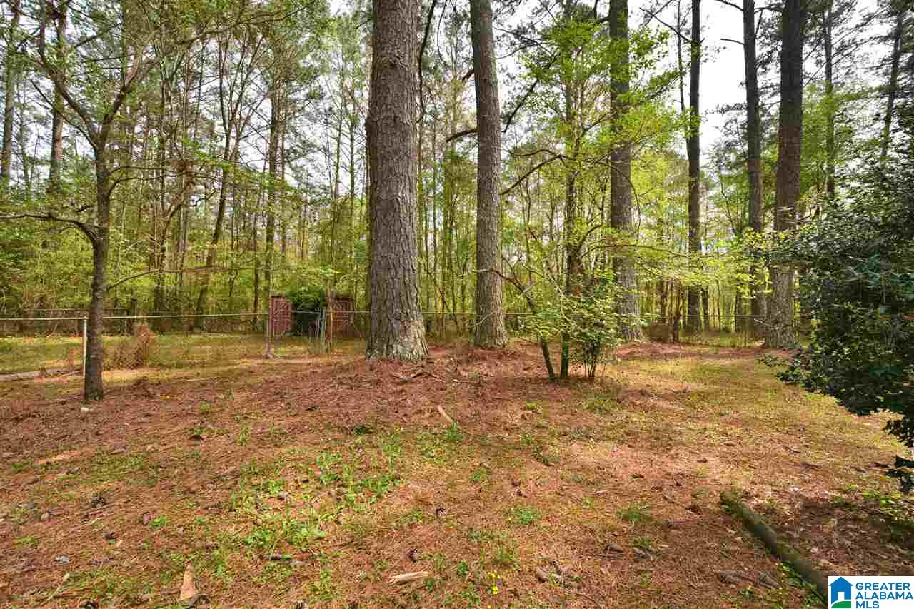 1429 Montevallo Road Southwest Leeds, AL 35094 - Photo 30 of 34