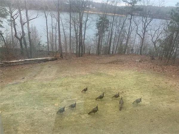 $1,365,000 | 2819 Point Overlook, Gainesville, GA 30501