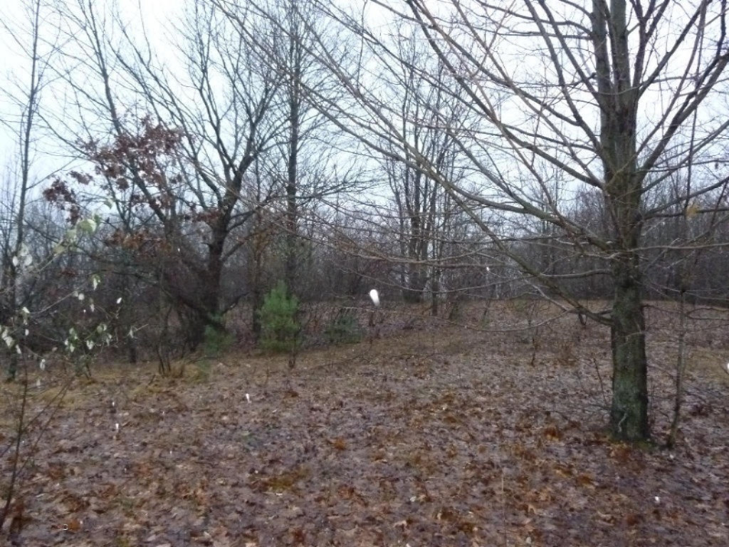 2014-11-24 17