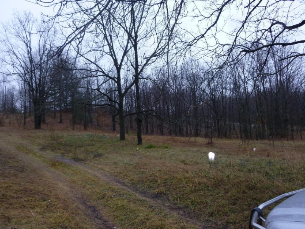 2014-11-24 17