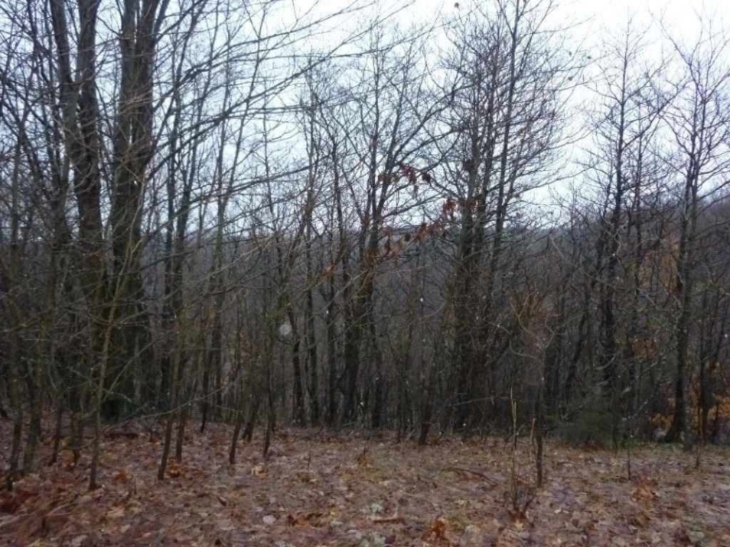 2014-11-24 17