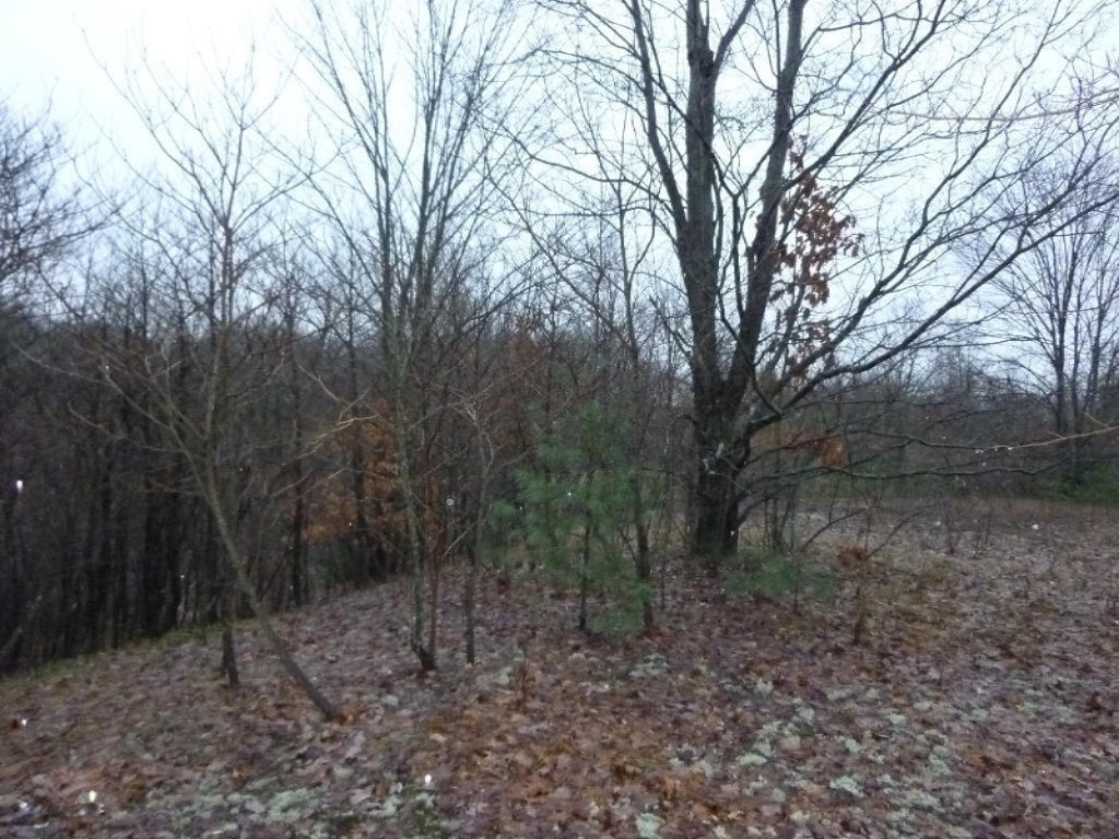 2014-11-24 17