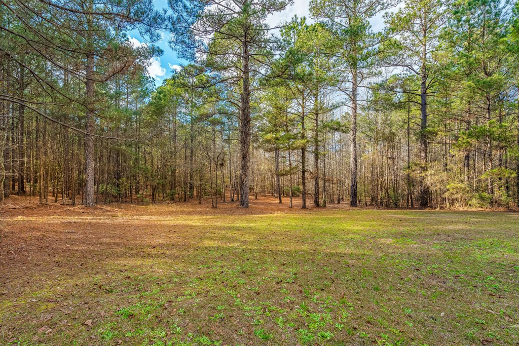 649 Marigold Road Cope, SC 29038 - Photo 28 of 31 Photo 28