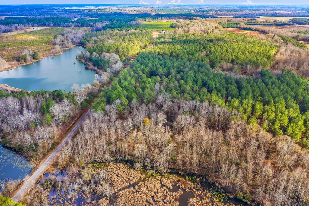 649 Marigold Road Cope, SC 29038 - Photo 31 of 31 Photo 31