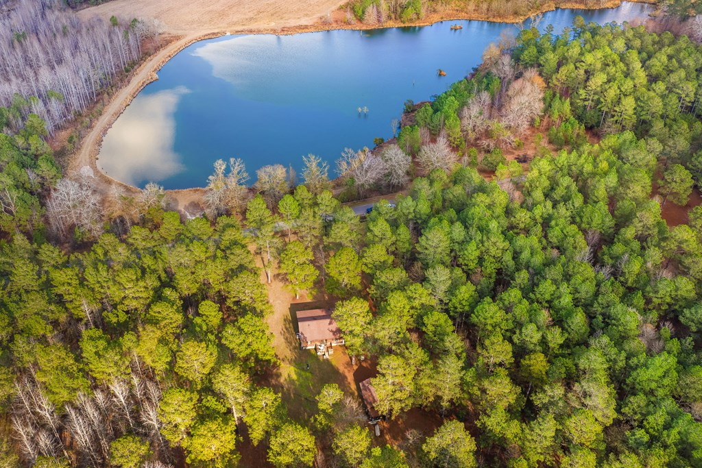 649 Marigold Road Cope, SC 29038 - Photo 6 of 31 Photo 6