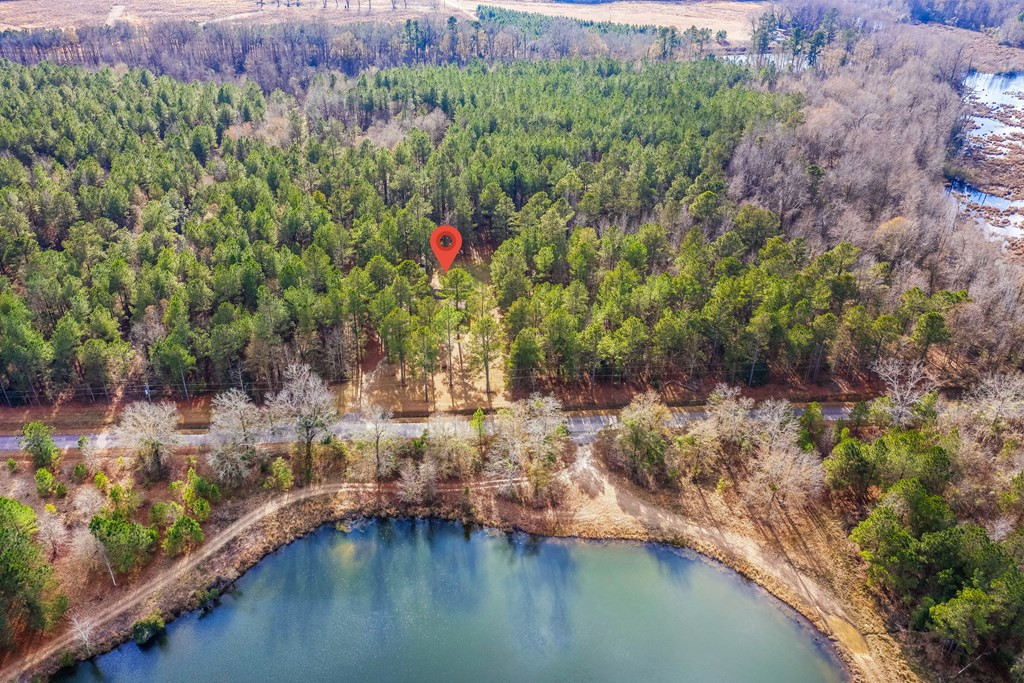 649 Marigold Road Cope, SC 29038 - Photo 7 of 31 Photo 7