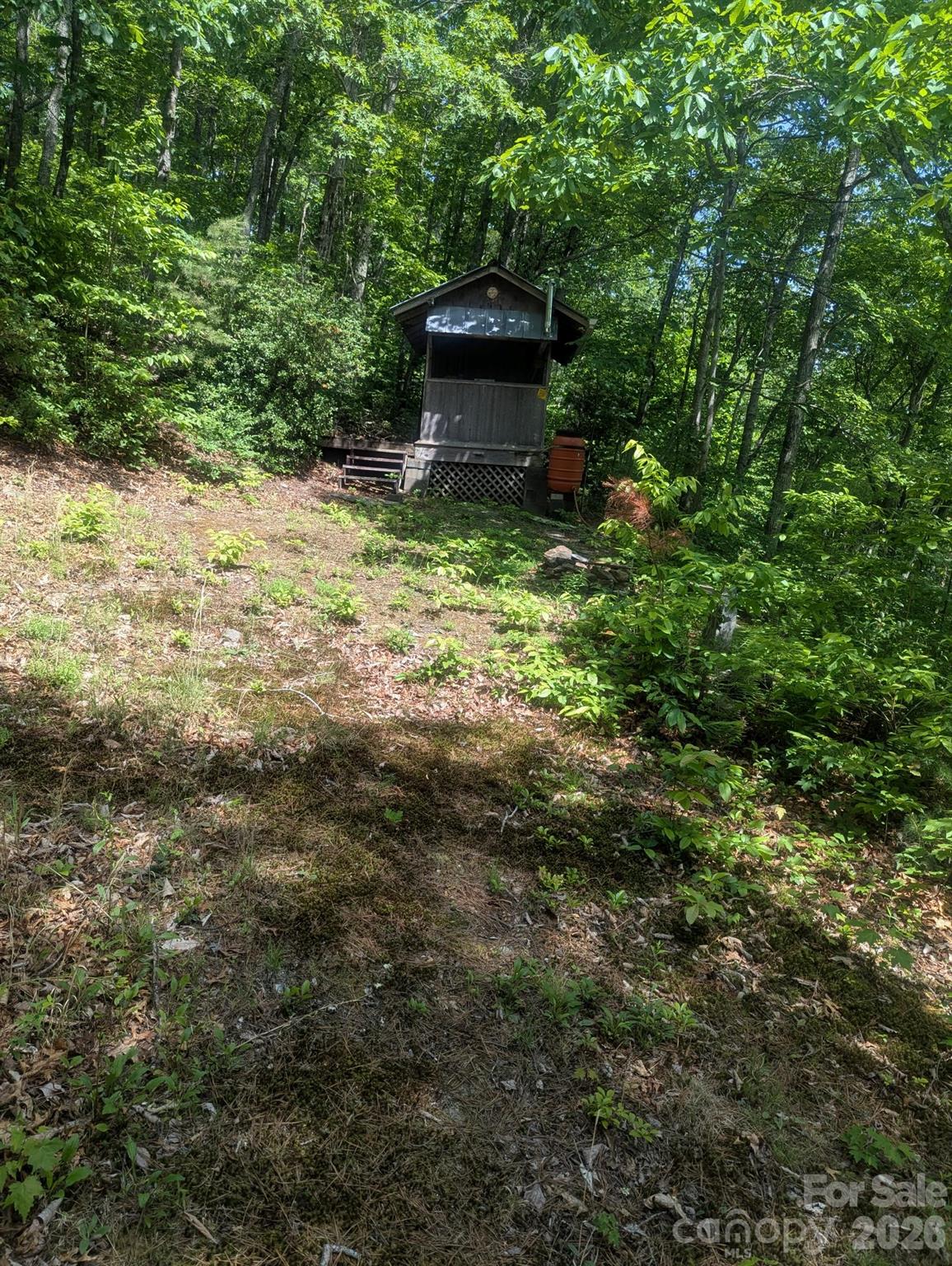 1662 Penley Road Boone, NC 28645 - Photo 6 of 23 a view of a pathway with a tree