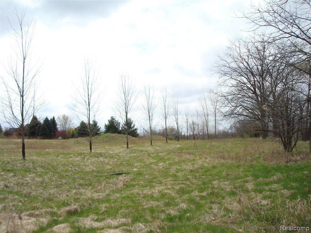 0 Hunters Creek Rochester, MI 48306 - Photo 4 of 7 Rolling+Terrain.JPG