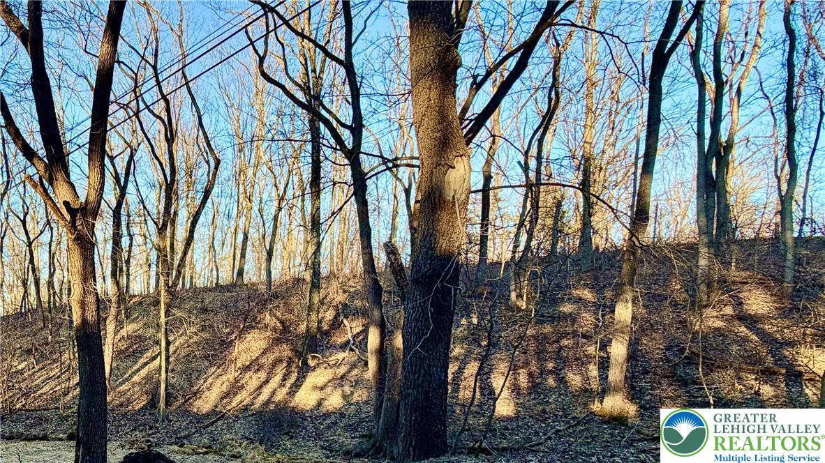 777 Adams Road Breinigsville, PA 18031 - Photo 4 of 10 a view of tree in between the buildings