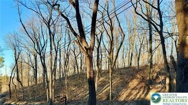 a view of a yard with plants and trees
