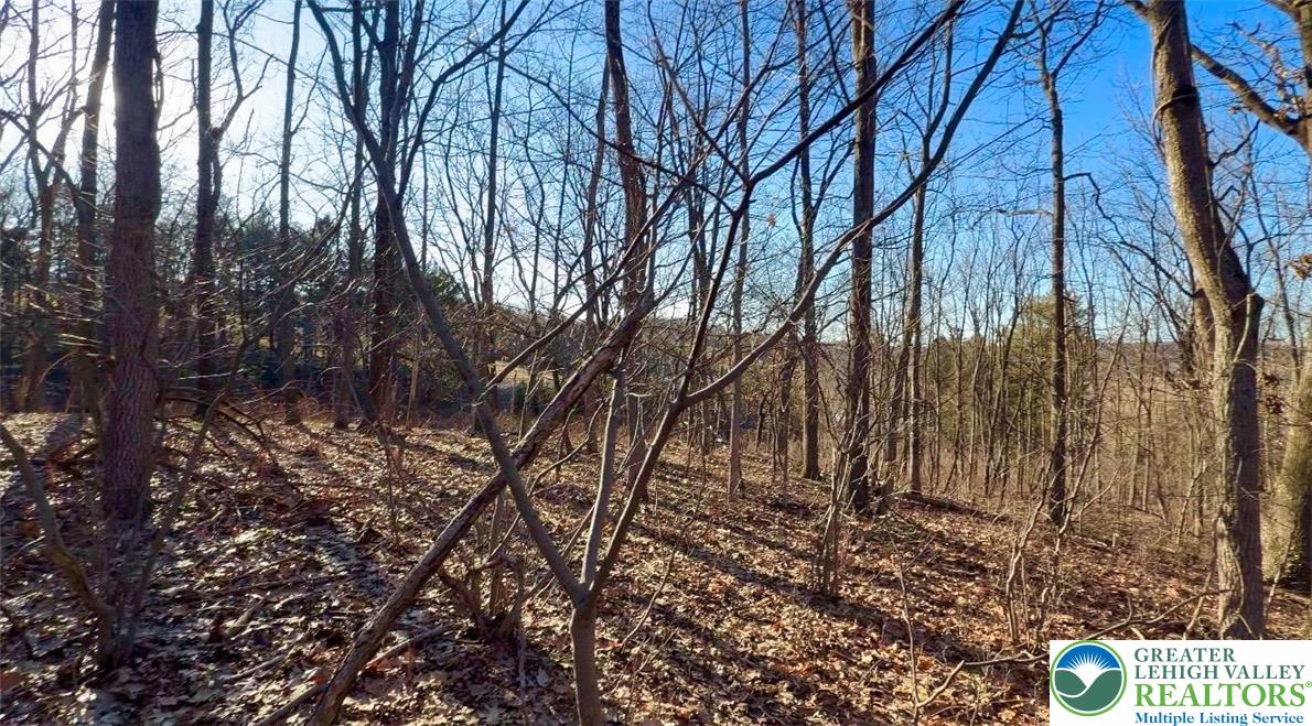 777 Adams Road Breinigsville, PA 18031 - Photo 6 of 10 a view of outdoor space with wooden fence