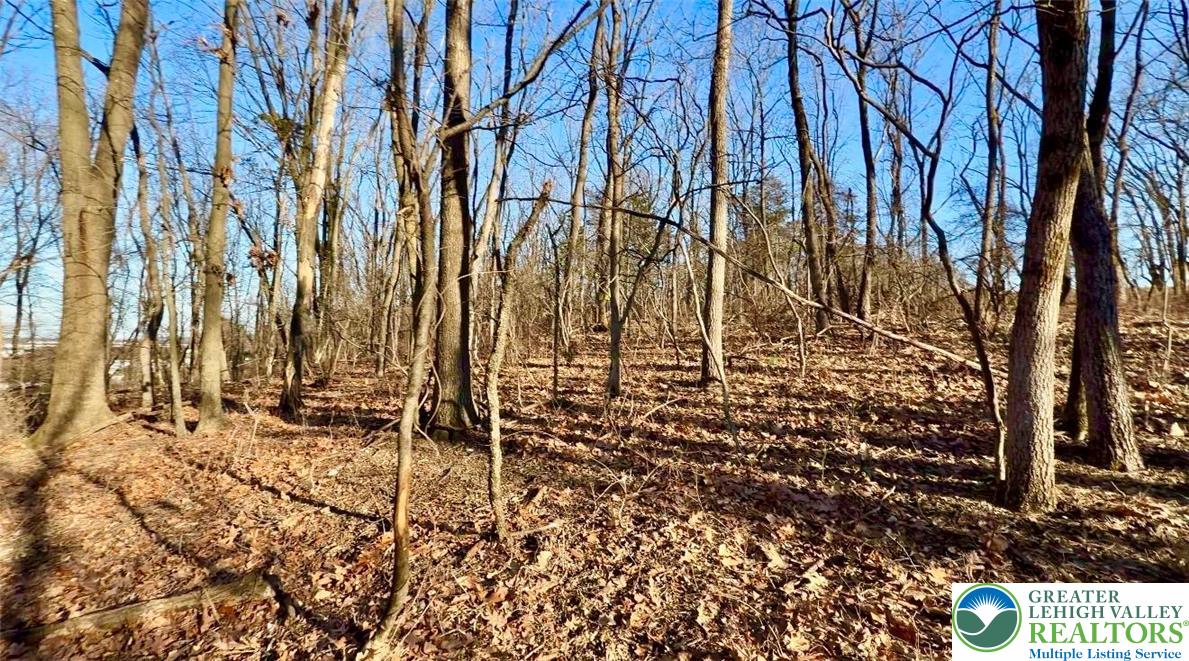 777 Adams Road Breinigsville, PA 18031 - Photo 7 of 10 a view of outdoor space with of trees
