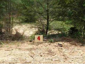 104 Steve Brown Road Bean Station, TN 37708 - Photo 2 of 4 Photo 2