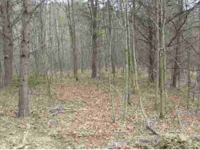 104 Steve Brown Road Bean Station, TN 37708 - Photo 4 of 4 Photo 4
