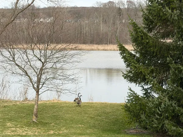 $410,000 | 189 Mill Pond Drive, Unit 7, Middleville, MI 49333