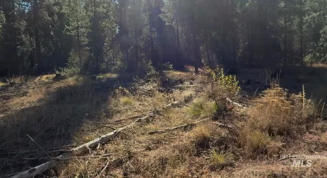 $195,000 | Lot 19 Trail Creek Court, Idaho City, ID 83631