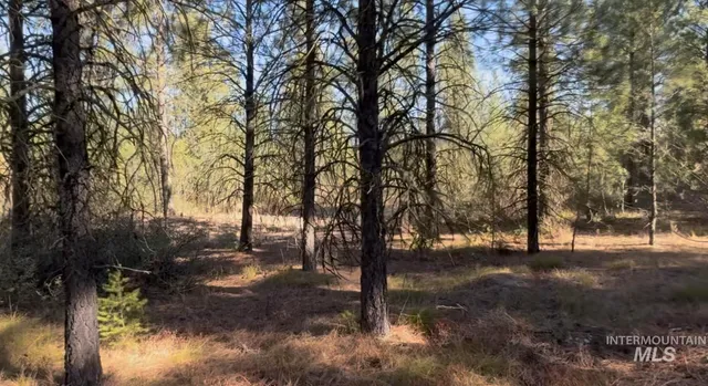 $195,000 | Lot 19 Trail Creek Court, Idaho City, ID 83631