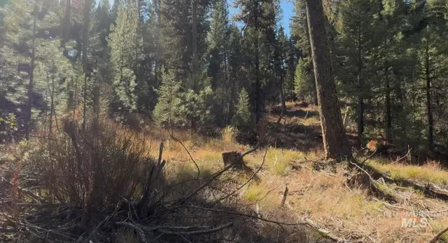 $195,000 | Lot 19 Trail Creek Court, Idaho City, ID 83631