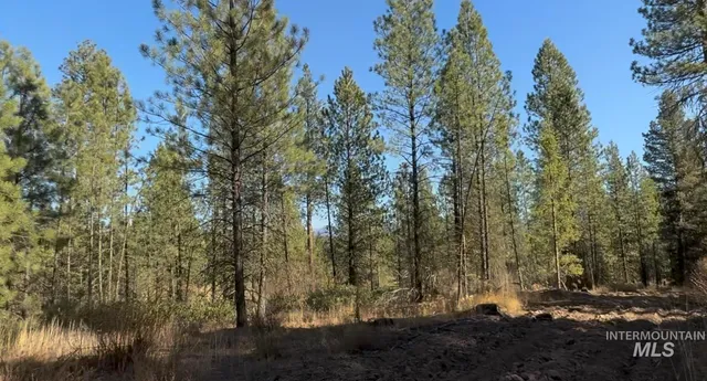 $195,000 | Lot 19 Trail Creek Court, Idaho City, ID 83631