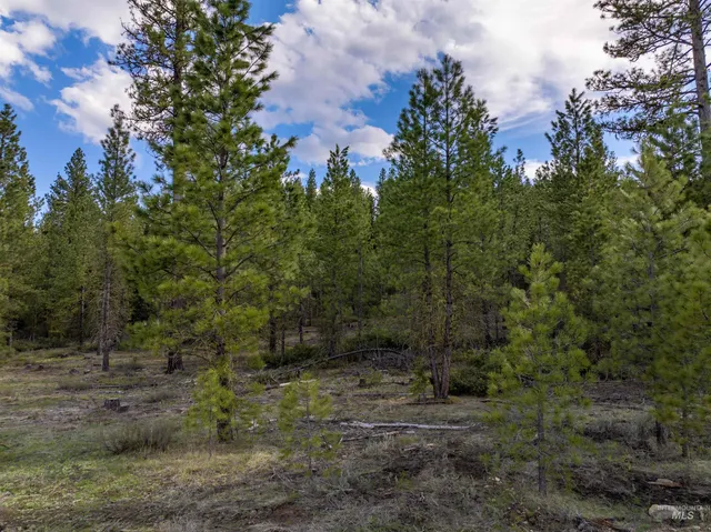 $195,000 | Lot 19 Trail Creek Court, Idaho City, ID 83631