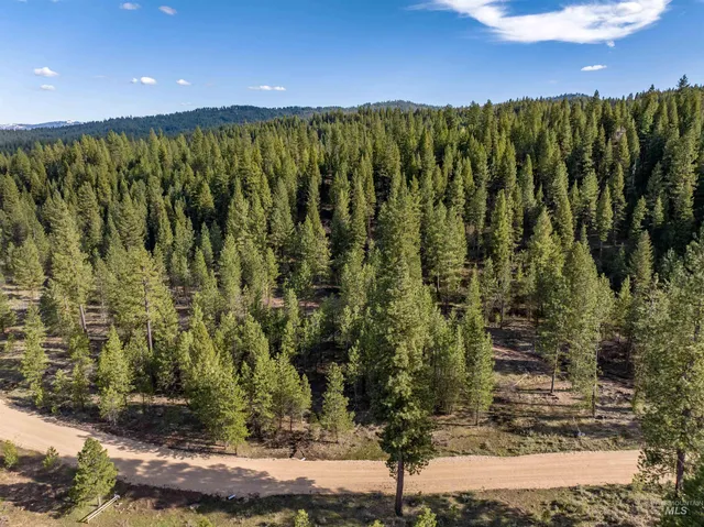 $195,000 | Lot 19 Trail Creek Court, Idaho City, ID 83631
