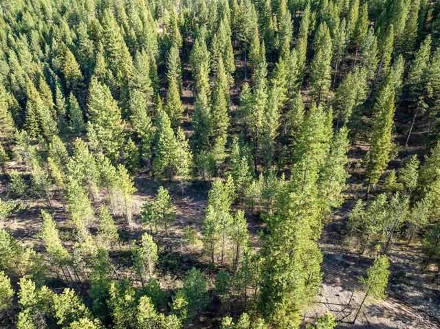 $195,000 | Lot 19 Trail Creek Court, Idaho City, ID 83631