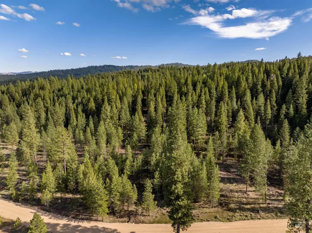 $195,000 | Lot 19 Trail Creek Court, Idaho City, ID 83631