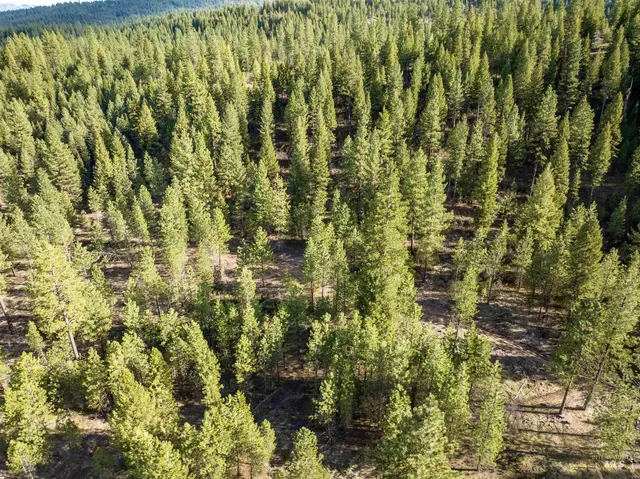 $195,000 | Lot 19 Trail Creek Court, Idaho City, ID 83631