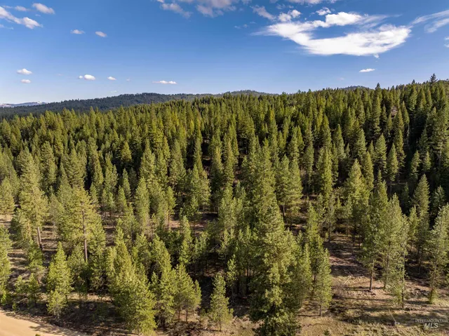 $195,000 | Lot 19 Trail Creek Court, Idaho City, ID 83631
