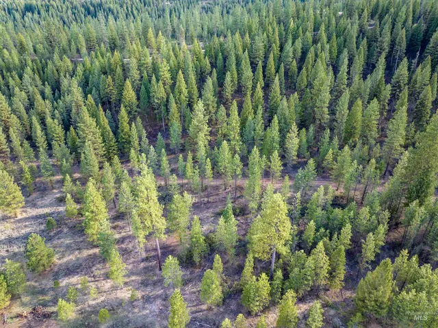 $195,000 | Lot 19 Trail Creek Court, Idaho City, ID 83631