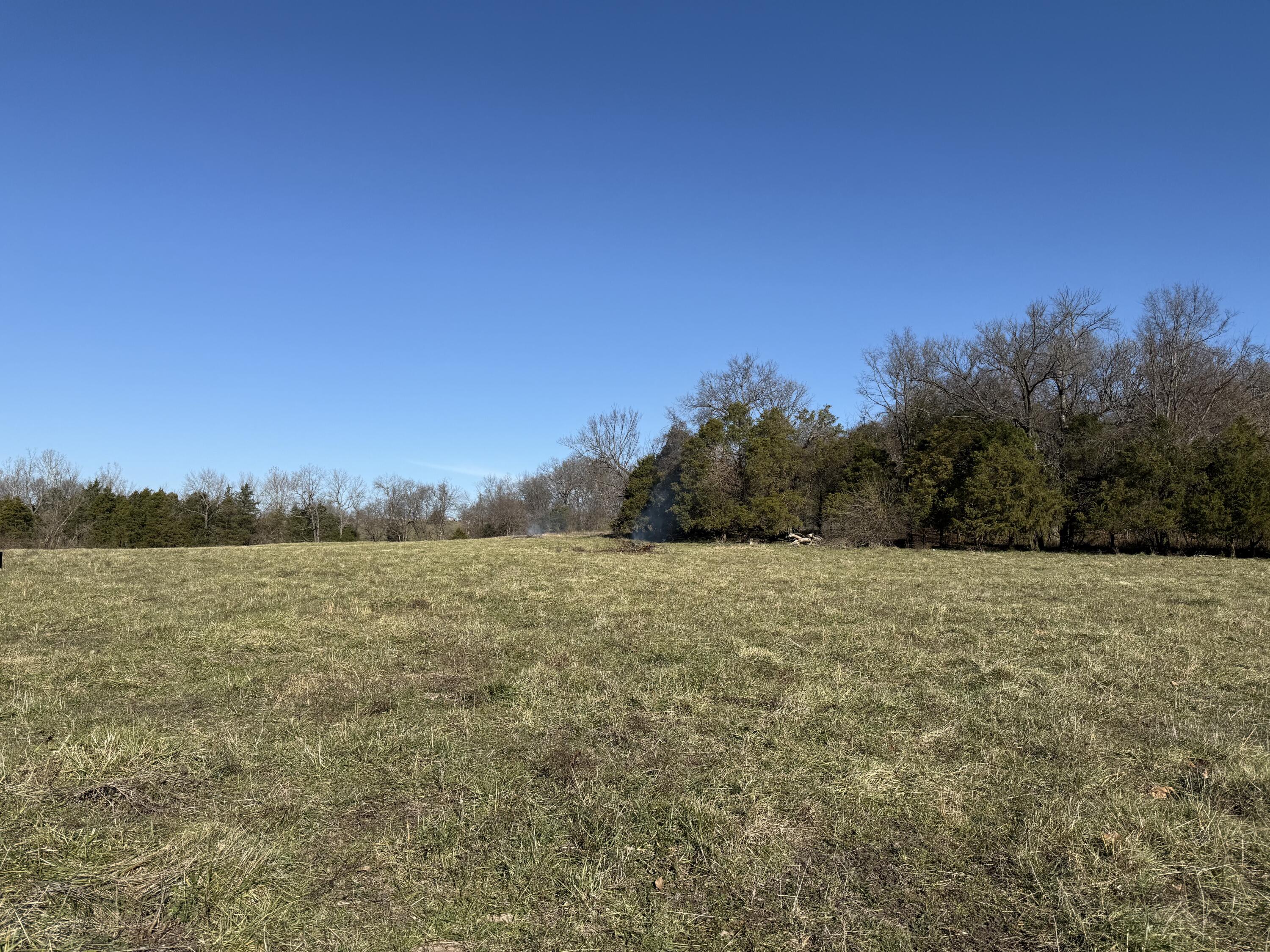 0 East 510th Road Aldrich, MO 65601 - Photo 1 of 1 IMG_2993