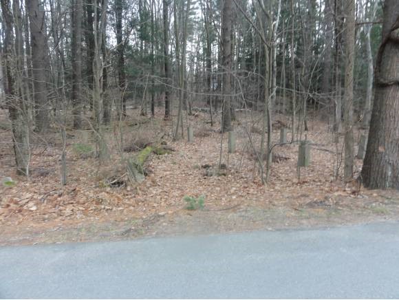 Horseshoe Road Windham, NH 03087 - Photo 1 of 1