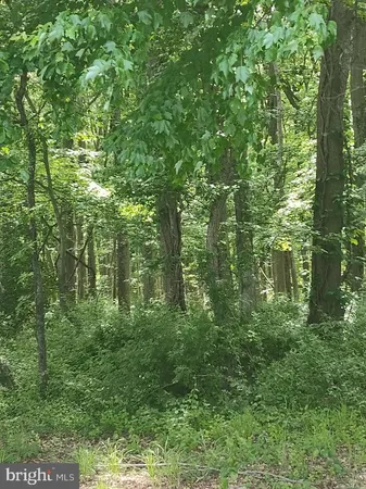 $150,000 | Caulks Field Road, Chestertown, MD 21620