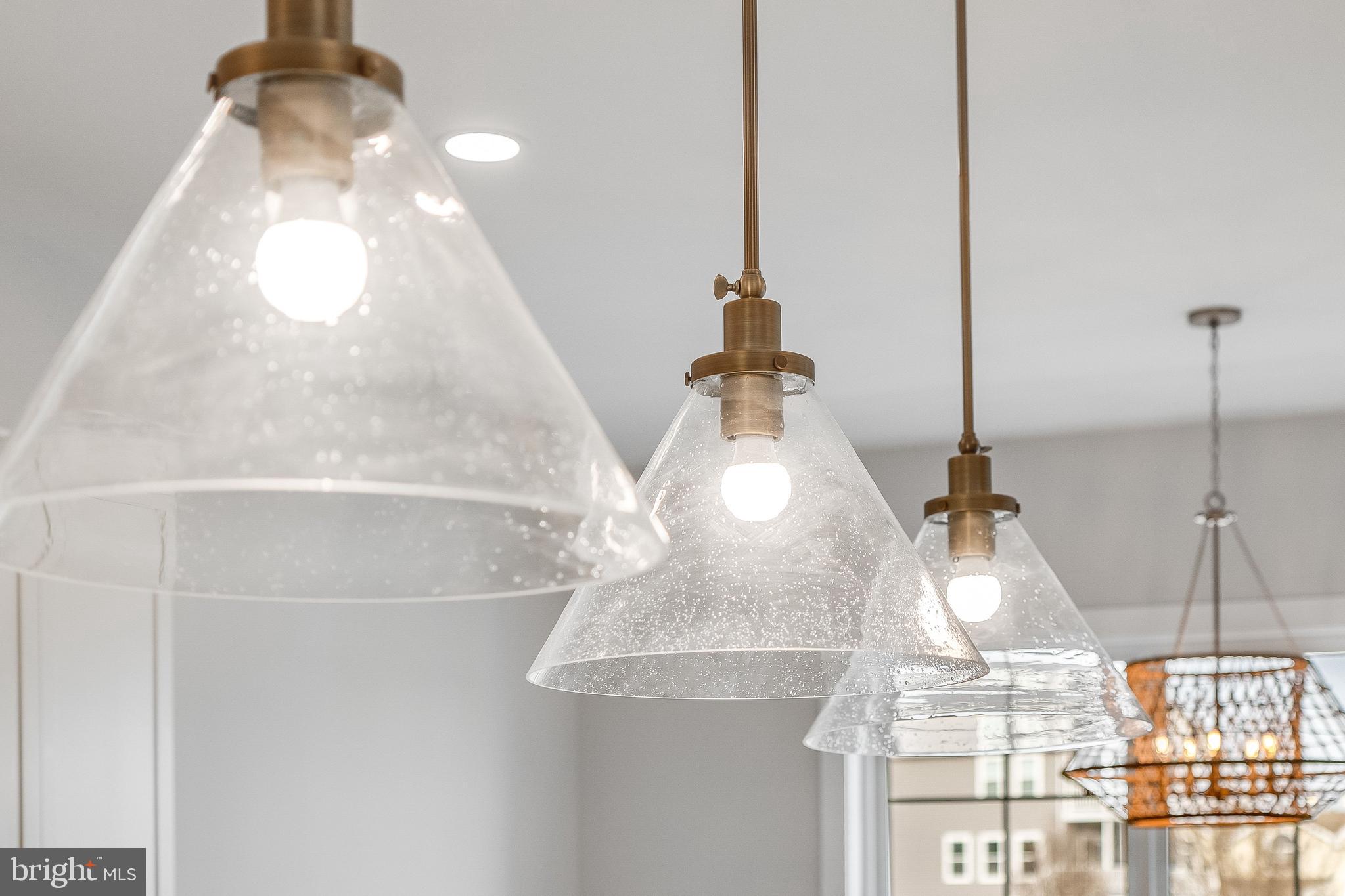 37828 Cedar Road Selbyville, DE 19975 - Photo 26 of 109 Pendant Lighting