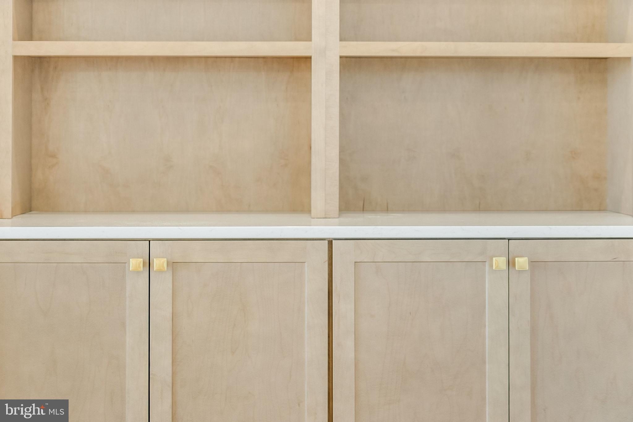 37828 Cedar Road Selbyville, DE 19975 - Photo 42 of 109 Built-in Cabinets and Shelving in Living Room