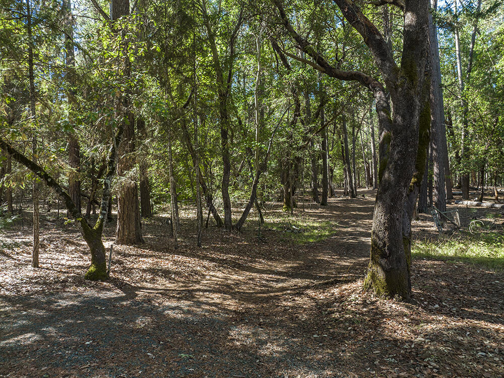 880 East Fork Road Williams, OR 97544 - Photo 41 of 47 40